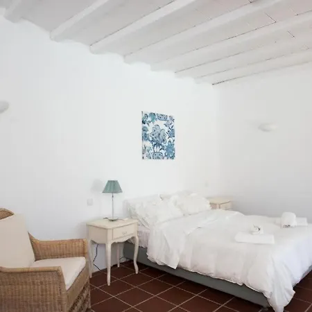 Mykonian Private 2 Bd With Private Pool Herberg Ftelia (Mykonos)